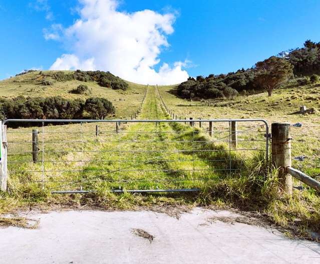 Lot 1 State Highway 12 Dargaville_3