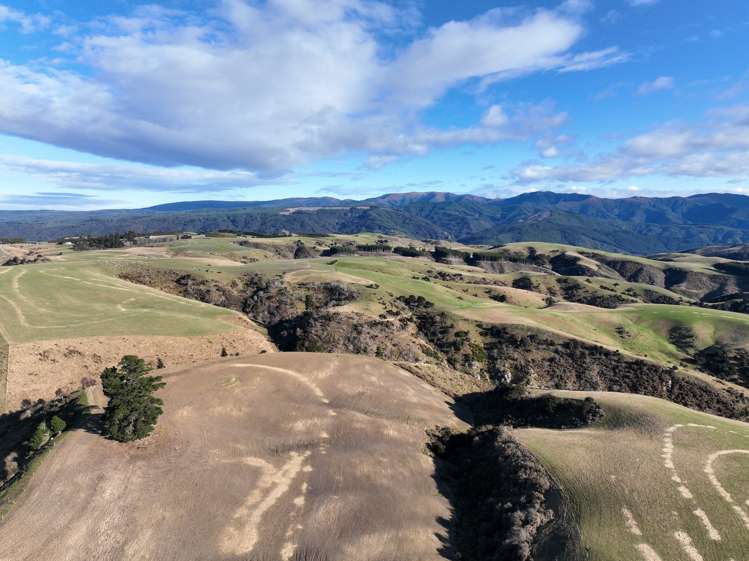 168 Remarkable Road Lawrence_23