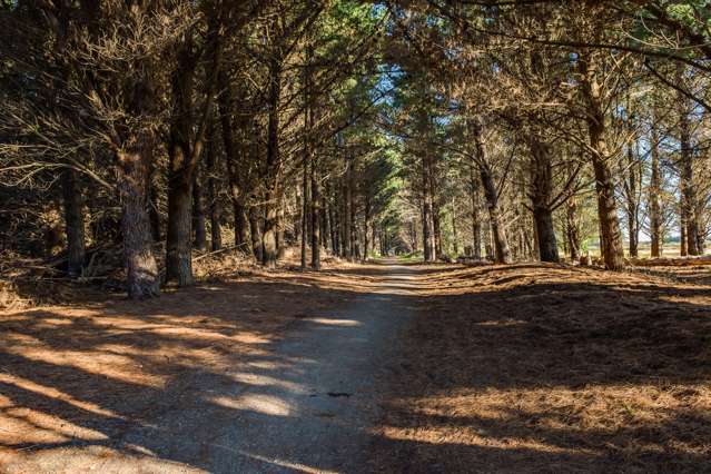 48 The Esplanade Pegasus_4