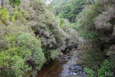 Zero Akatarawa Road_4