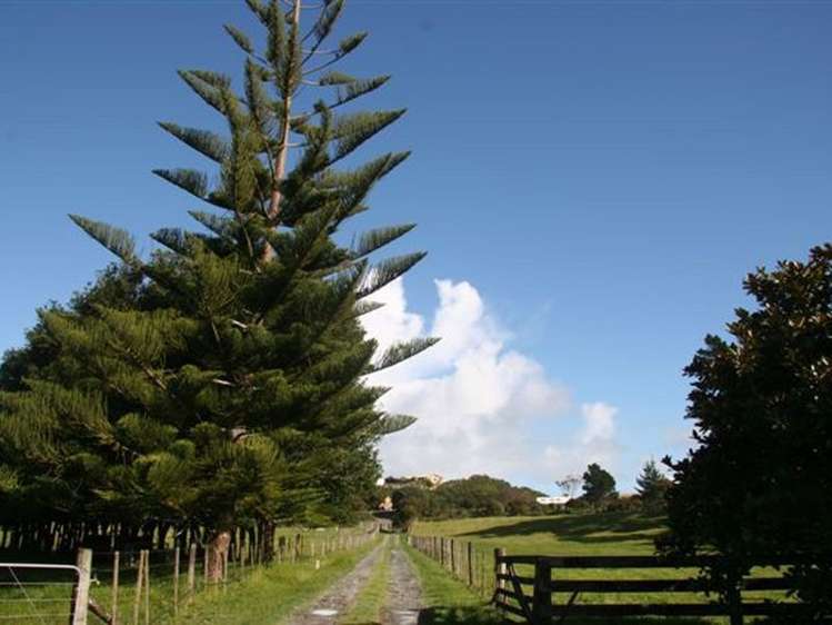 42 Harbour View Road Pukenui_6