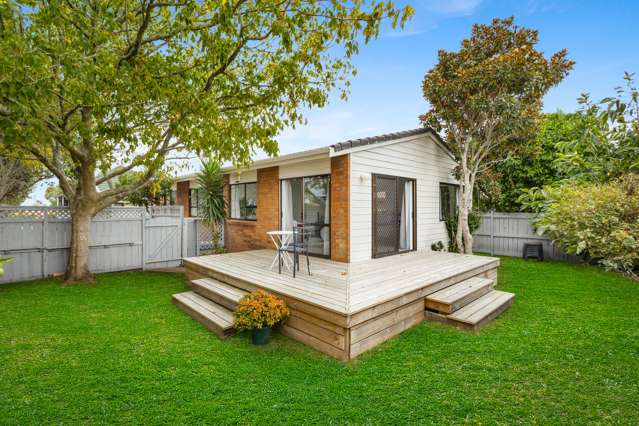 568a Richardson Road Mount Roskill_1