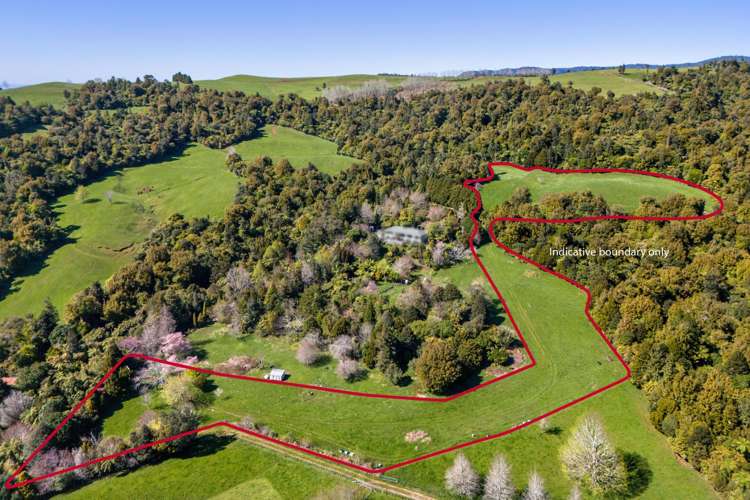 43B Walls Road Waihi_1