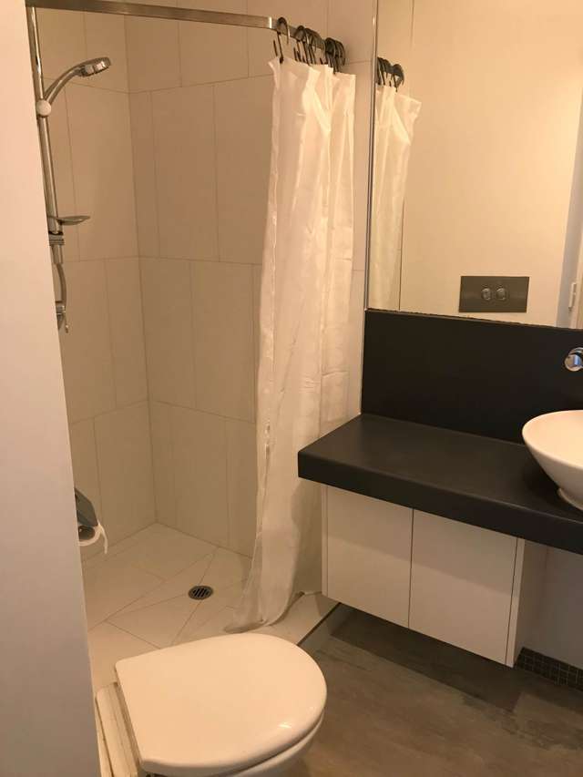 17 Blake Street Ponsonby_4