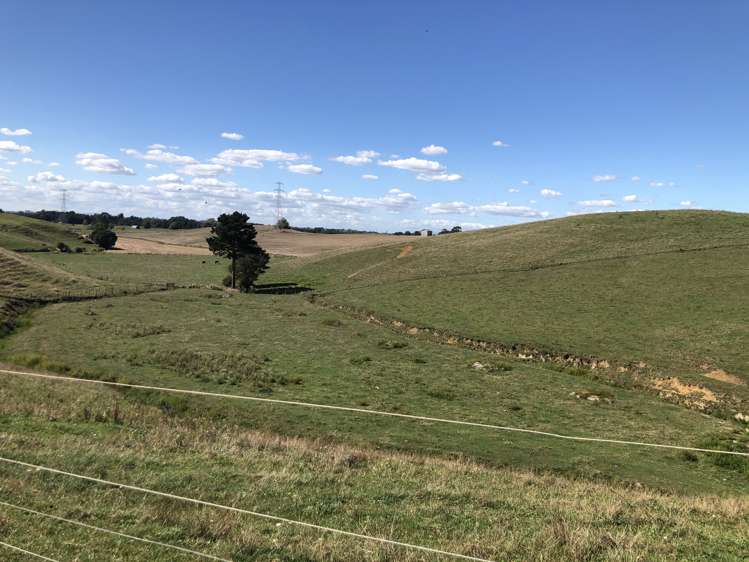 35 Grove Access Road Karamu_26