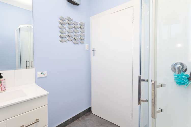 223 Roslyn Road Roslyn Bush_11