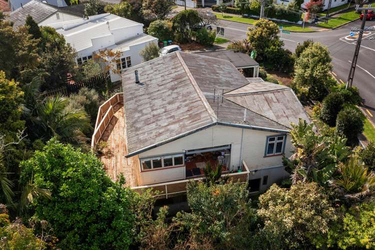 2A Martin Avenue Mount Albert_30