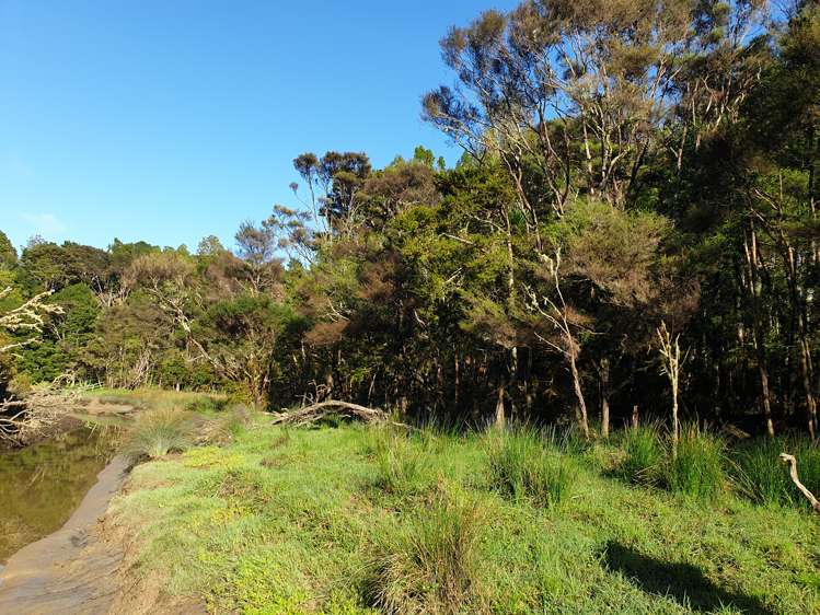 Sterling Road Paparoa_13