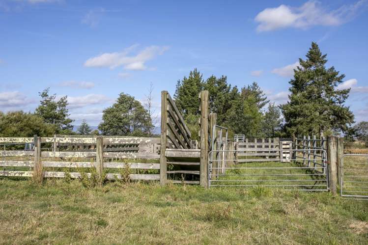 652 Makino Road Feilding_12