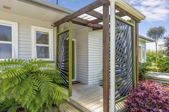 19A Fairfield Road Levin_3