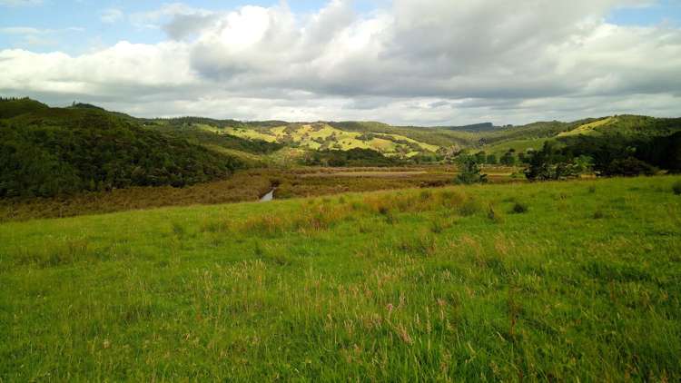 Lots 4,5,6 Taheke Road Taheke_2