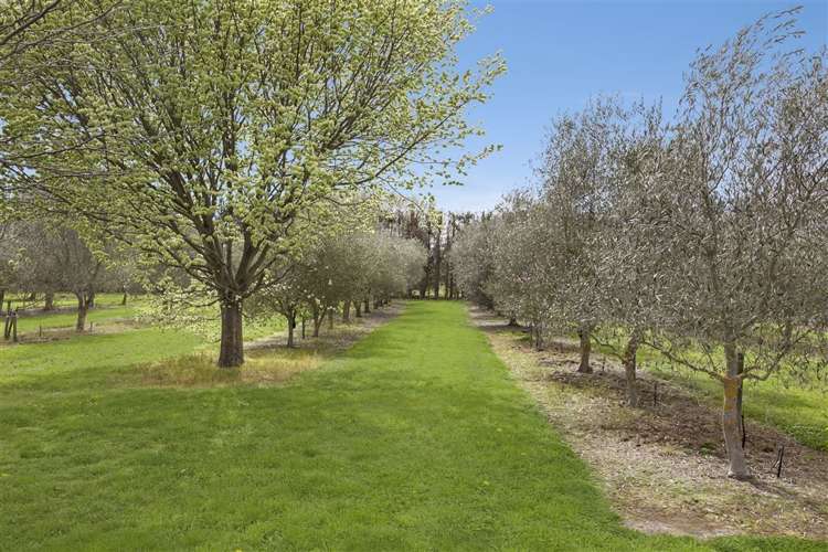 67 Velino Place Ohoka_27