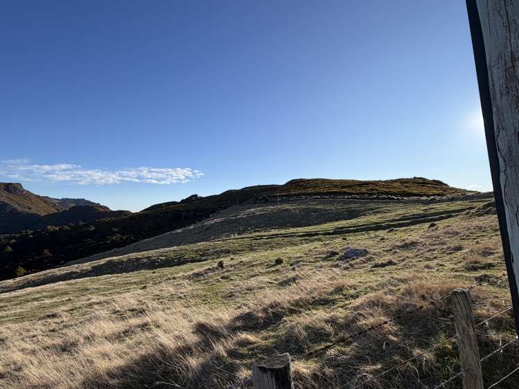 490 Long Bay Road Akaroa_21