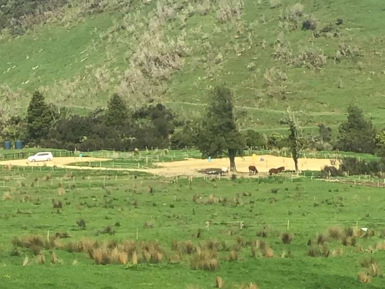 Pahiatua Pongaroa Road Pongaroa_7