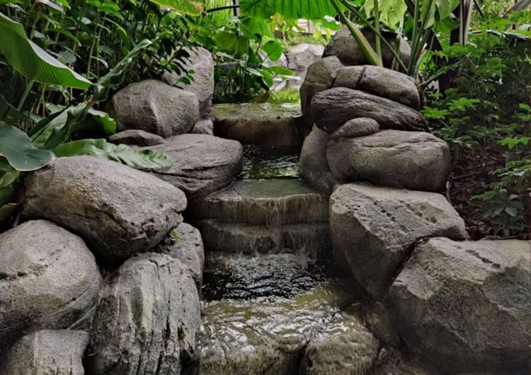 Address withheld Palmerston North_5