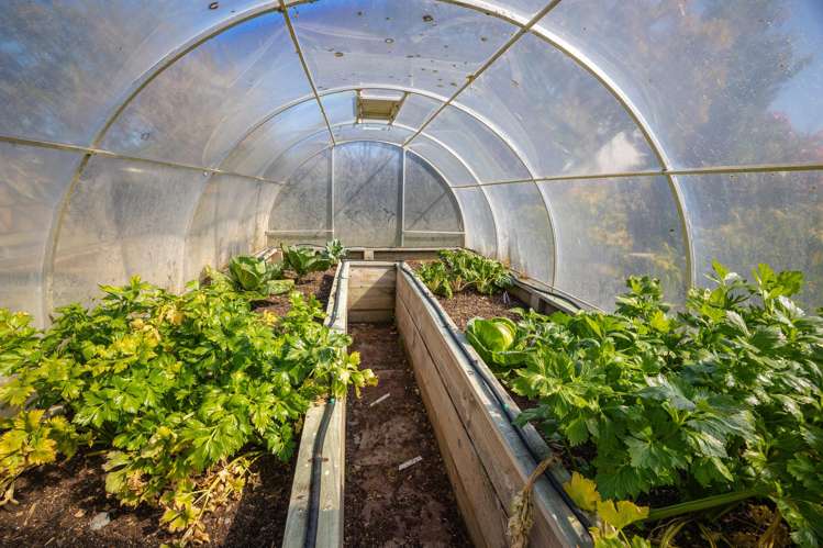 82 Gladstone Road North Mosgiel_21