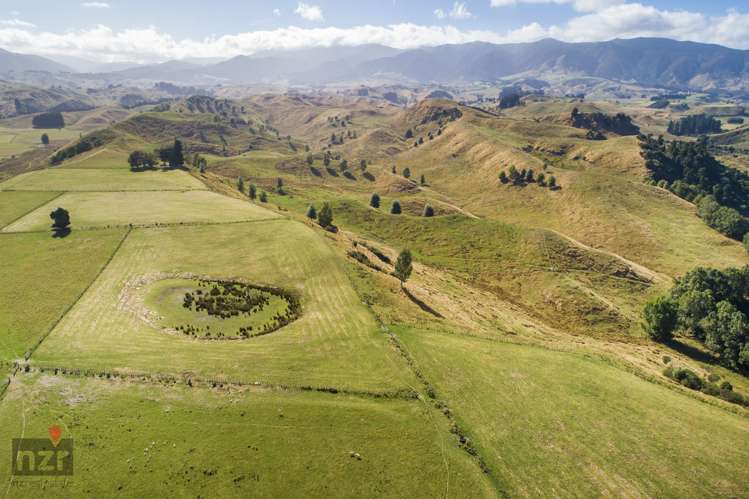 3769 Pohangina Valley East Road Apiti_6