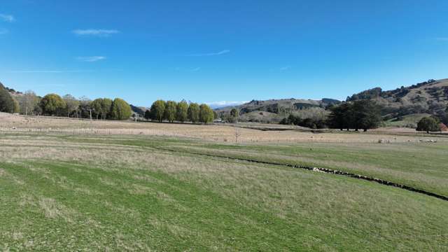 Lot 2/1627 Masterton-Castlepoint Road Tauweru_4