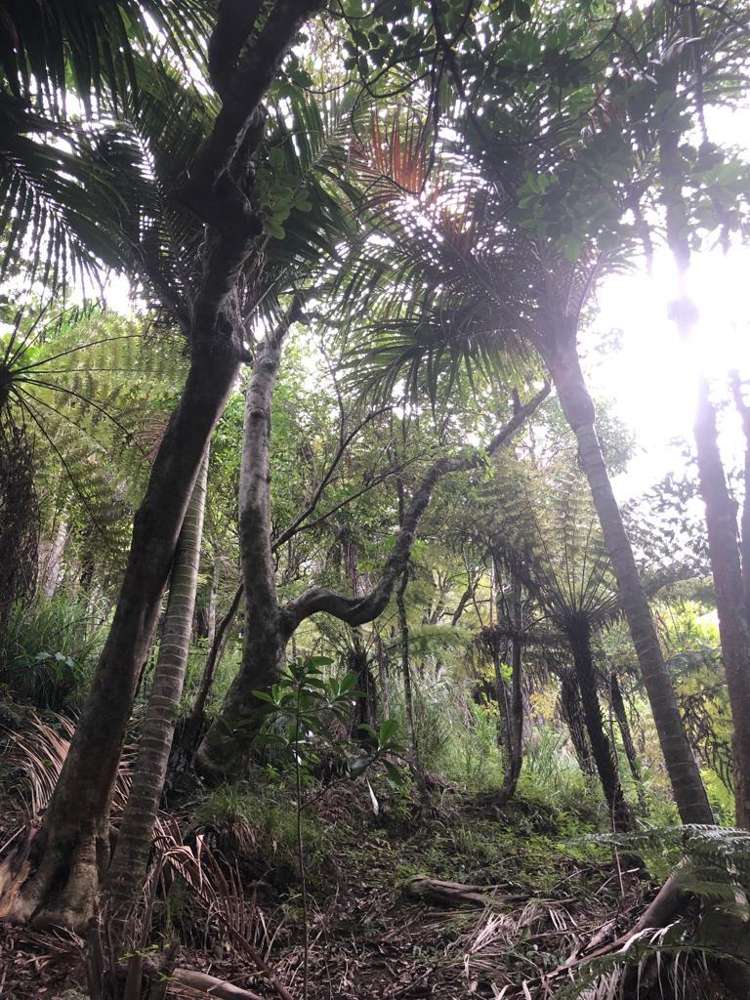 12 Beresford Avenue Surfdale_9