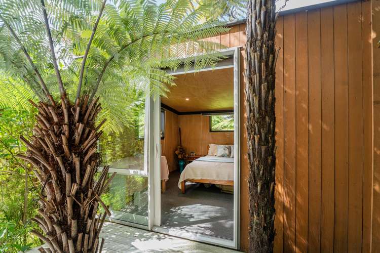 969 Purangi Road Cooks Beach_26