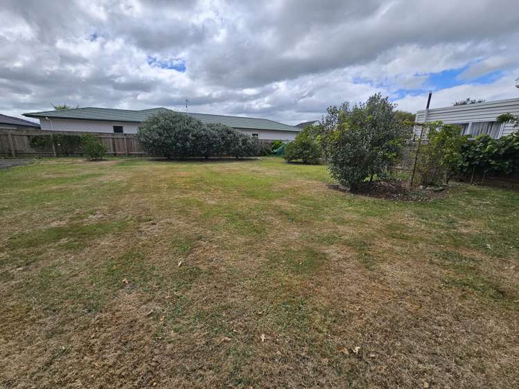 199 Bath Street Levin_9