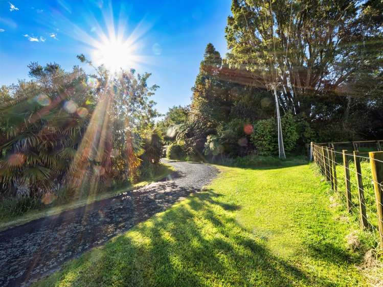 424A Hot Springs Road Katikati_46