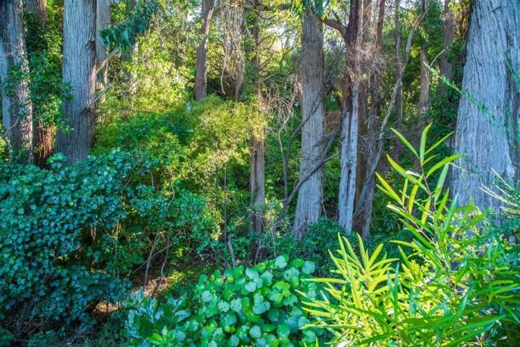 6 Kereru Grove Featherston_12