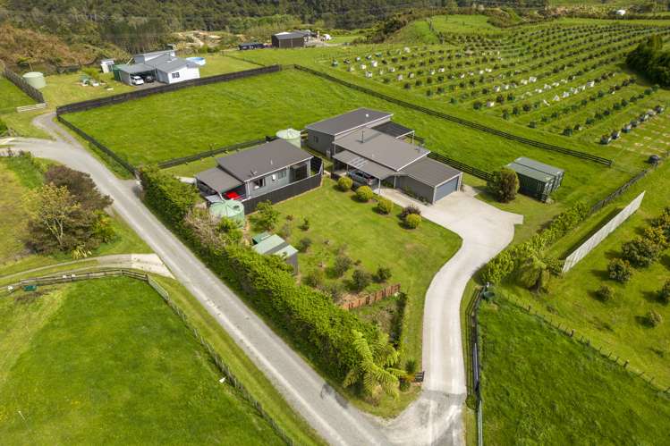 534b Mclaren Falls Road Kaimai_20