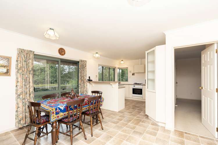 8 Macfarlane Street Hamilton East_8