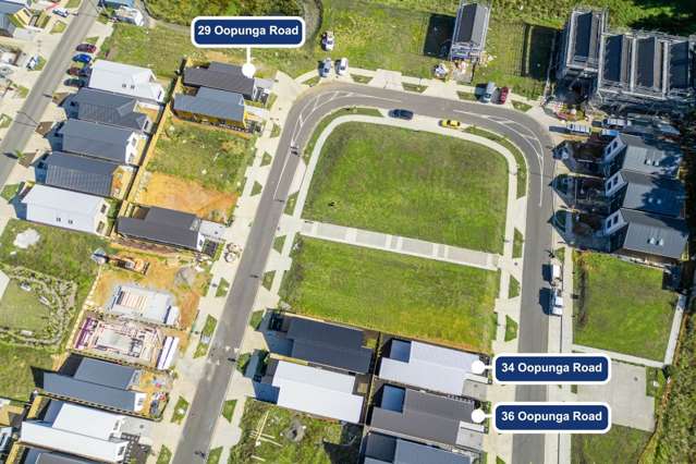 29 Oopunga Road Pukekohe_1