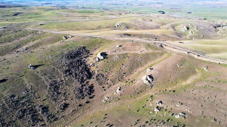 Mcintosh Road Ophir_7