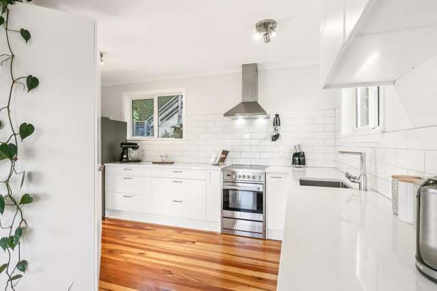 137 Ruskin Road Newlands_2