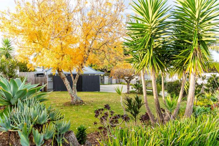 6 Shearwater Street One Tree Point_41