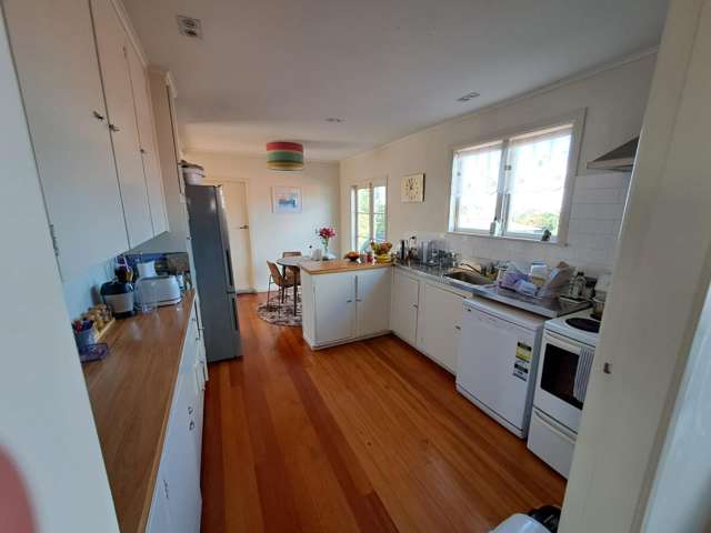 57 Tiroroa Ave 1802_4