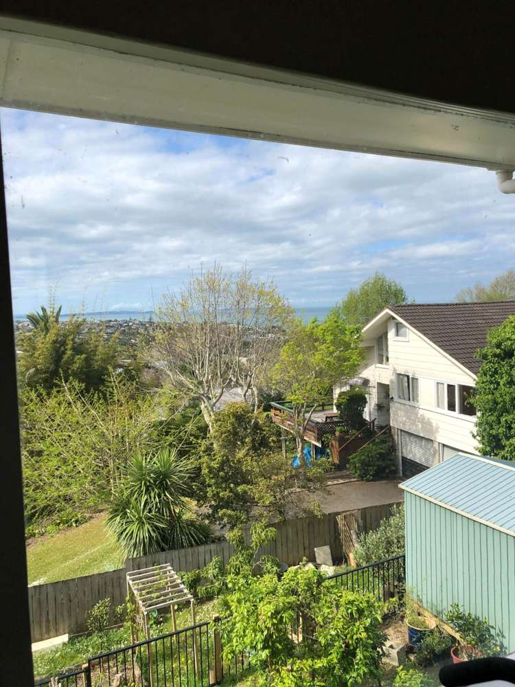 259 East Coast Road Mairangi Bay_13