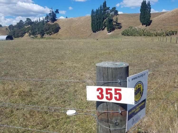 355 Horahora Road Hauraki Surrounds_12