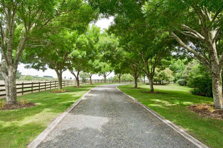 18 Clark Road Karaka_5