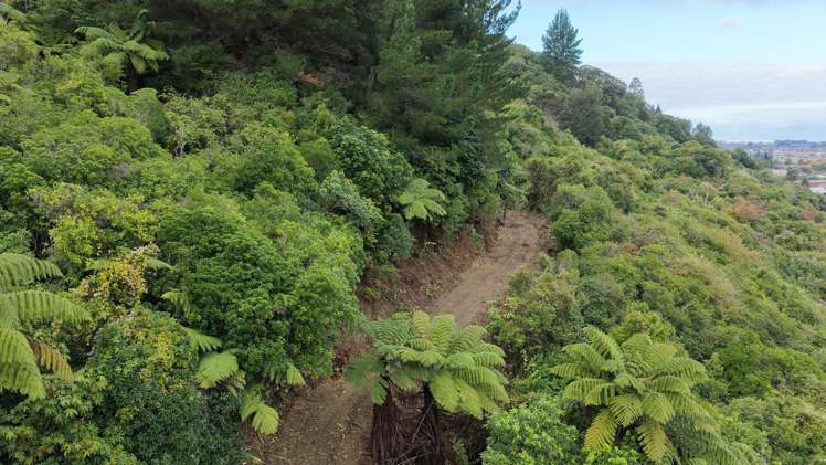 154a Takaka Hill Highway, Riwaka Motueka_11