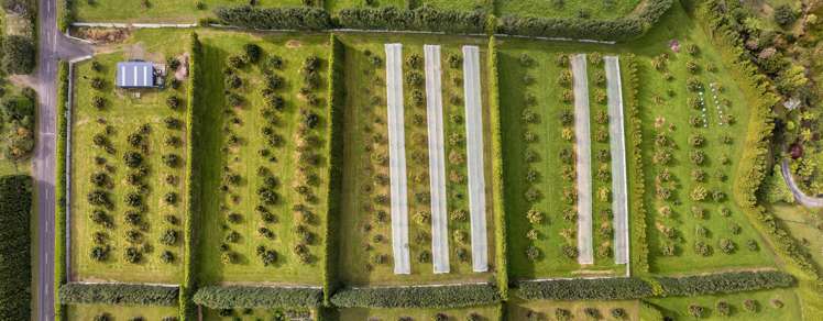 59 Pine Ridge Lane Aongatete_4