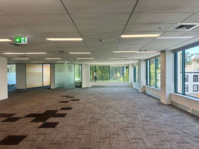 101 Carlton Gore Road Newmarket_2