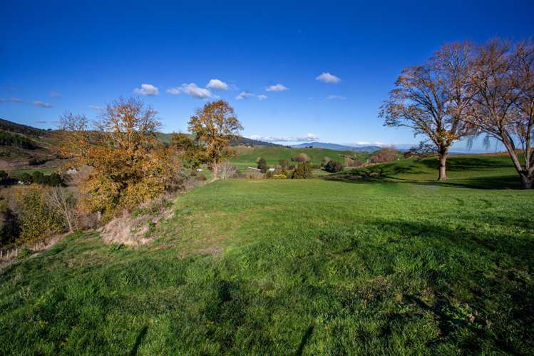 6/311 Flume Road Tauwhare_8