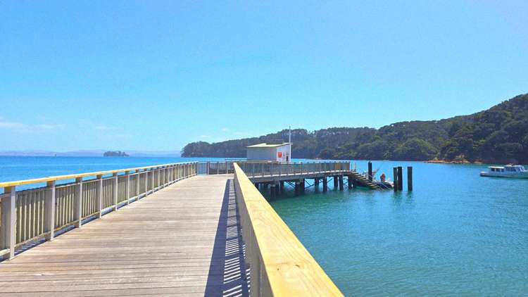 3 Hall Head Road Kawau Island_38
