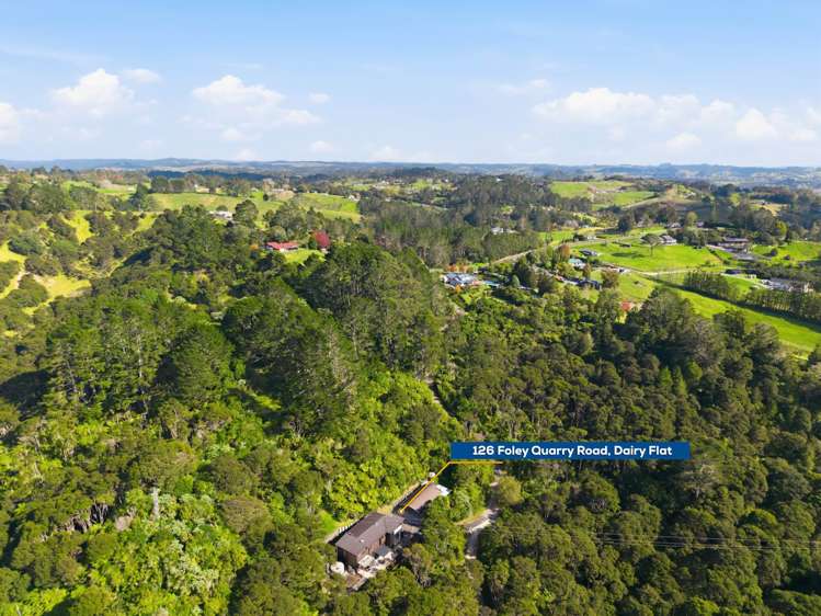 126 Foley Quarry Road Dairy Flat_44