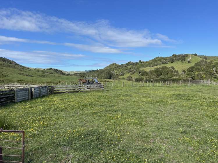 851 Awamate Road Frasertown_17