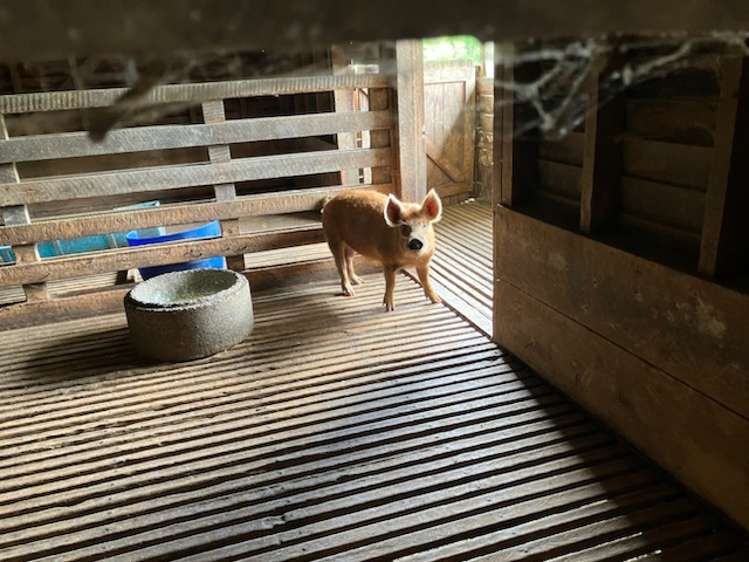 56 Ha Ha Road Pakotai_12