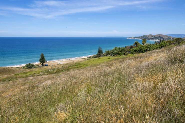 The luxury home on Winifred Street, in Ōkitu, Gisborne, was snapped up by a couple who had been looking for more than a year. Photo / Supplied