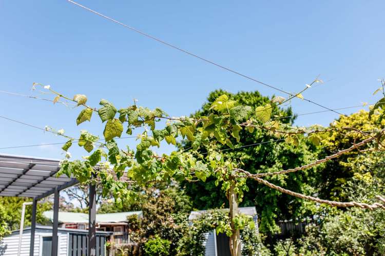 28 Ferry Road Whakatane_13