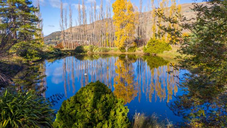 237 Roxburgh East Road Roxburgh East_23