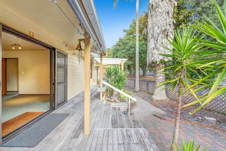 35a Homestead Road Manly_5