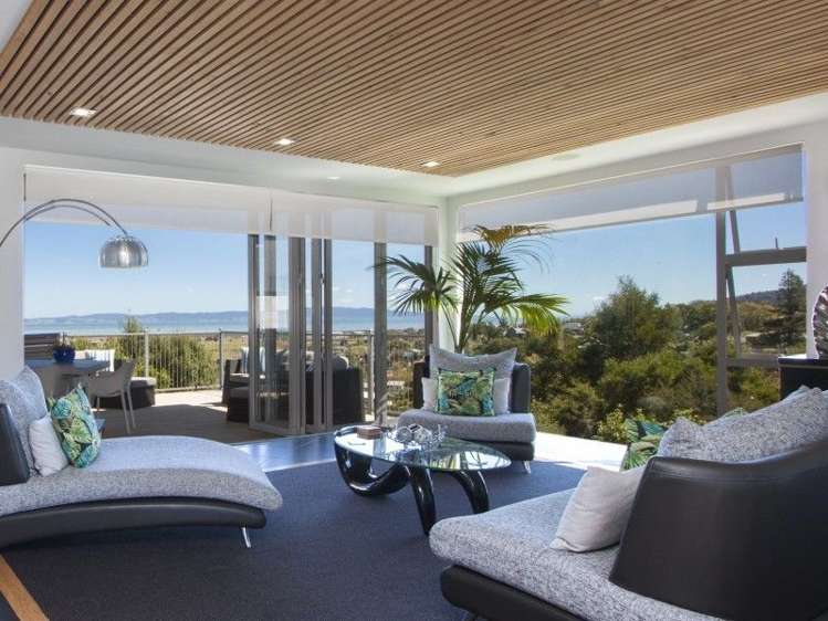 221 The Booms Avenue Thames_6